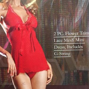 Lace mesh mini dress